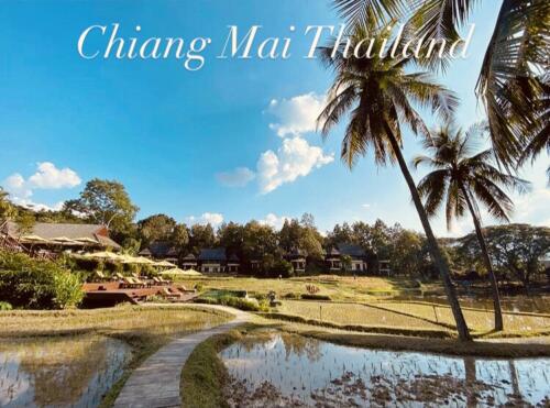 Hotels-In-Chiang-Mai